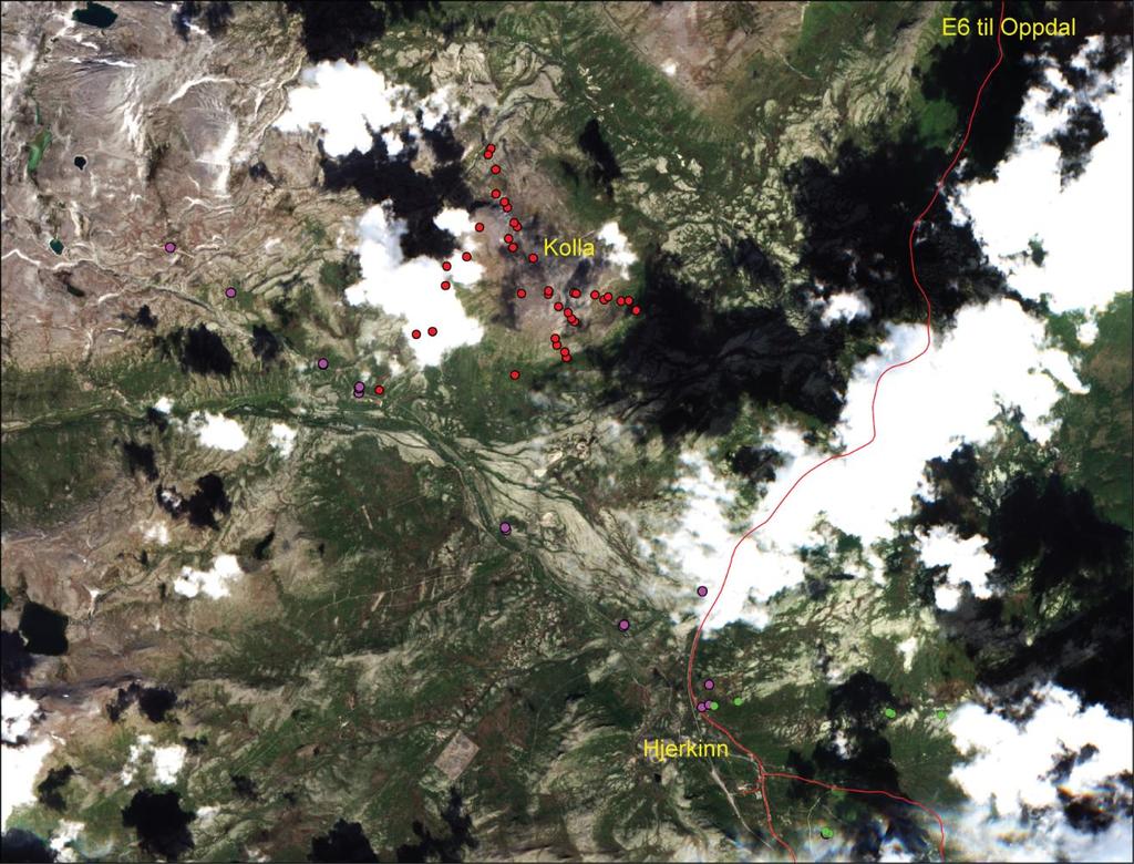 Figur 14. Et typisk Sentinel-2 level 1C satellittbilde med skyer og skyskygger. Eksemplet er fra Dovrefjell 22. august 2016.