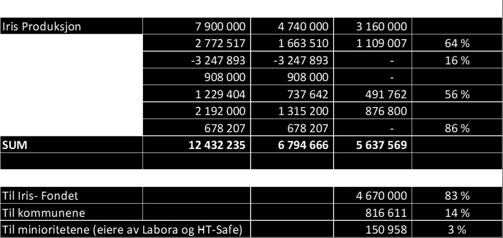 De økonomiske resultatene i datterselskapene er som følger: Omsetning Resultat før skatt 2016 2015 2016 2015 Retura Iris AS 55,0 mil kr 57,8 mil kr 4,1 mil kr 4,6 mil kr Iris Produksjon AS 79,5 mil