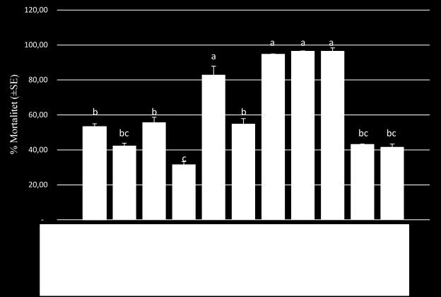 Figur 13 Gjennomsnittlig mortalitet (±SE) ved anbefalt dose av flonikamid (35 ppm virksomt stoff). Mortalitet ble registrert etter 96 timer for M. euphorbiae (MEUP) og A.