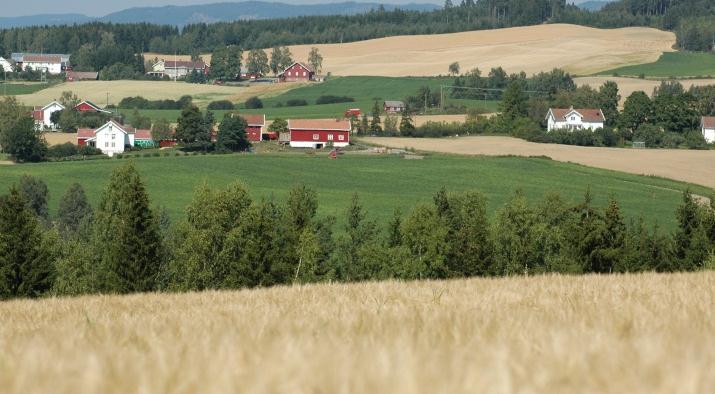 Gode råd for sammenslåingsprosesser: Flere kommuner har de siste årene vært gjennom sammenslåinger.