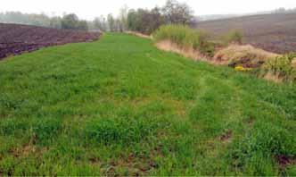 Vegetasjonssone Redusert avrenning av jord, næringsstoffer (særlig fosfor) og plantevernmidler. Det anlegges varig grasdekke i nedkant av åpen åker mot grøft, bekk, elv eller sjø.