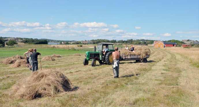 Skjøtsel av slåttemark Restaurere og bevare noen lokaliteter med «slåttemark». Slåttemarker har særskilt rikt mangfold av blomstrende urter, gras og insekter.