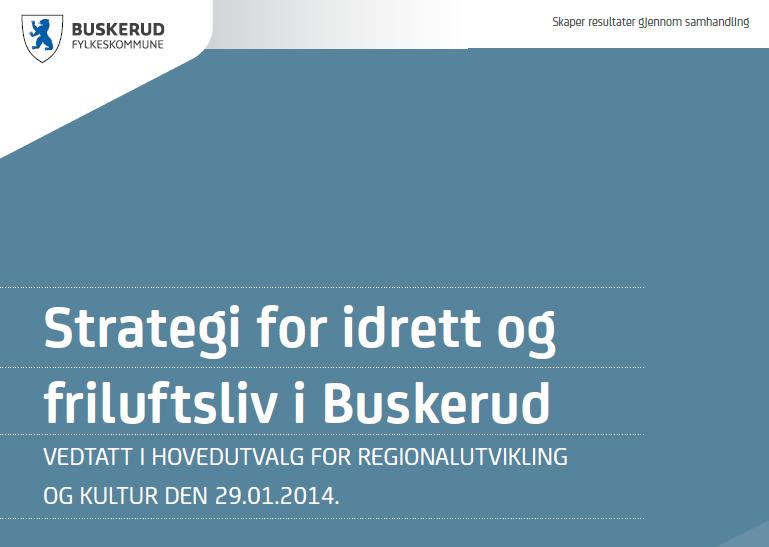 Buskerud Fylkeskommunes «Strategi for