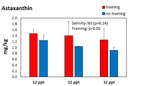 Mer pigment i filet hos laks ved trening og mindre salt i RAS-vannet