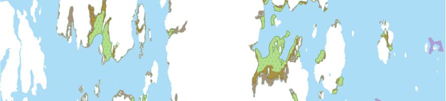 Årøysund, hentet fra kartdatabasen Naturbase. Vannforekomsten Husøyflaket har god økologisk tilstand, men oppnår ikke god kjemisk tilstand.