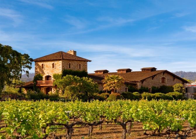 Vi fortsetter til vingården Vittorio Sattui Vineyard for omvisning, vinsmaking og deilig picniclunsj i hagen.
