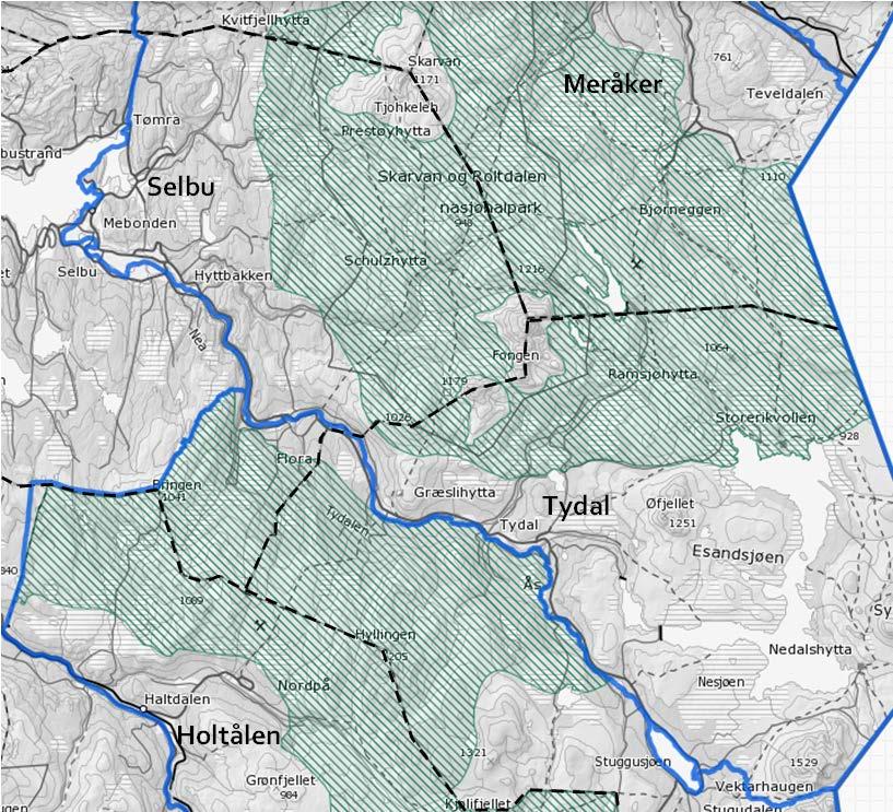 Kartutsnittet over viser kalvingsområdet til Essand reinbeitedistrikt med grønn skravur innenfor kommunene Selbu og Tydal. Reinbeitedistriktet er merket med blå strek. (www.skogoglandskap.no. Kilden.