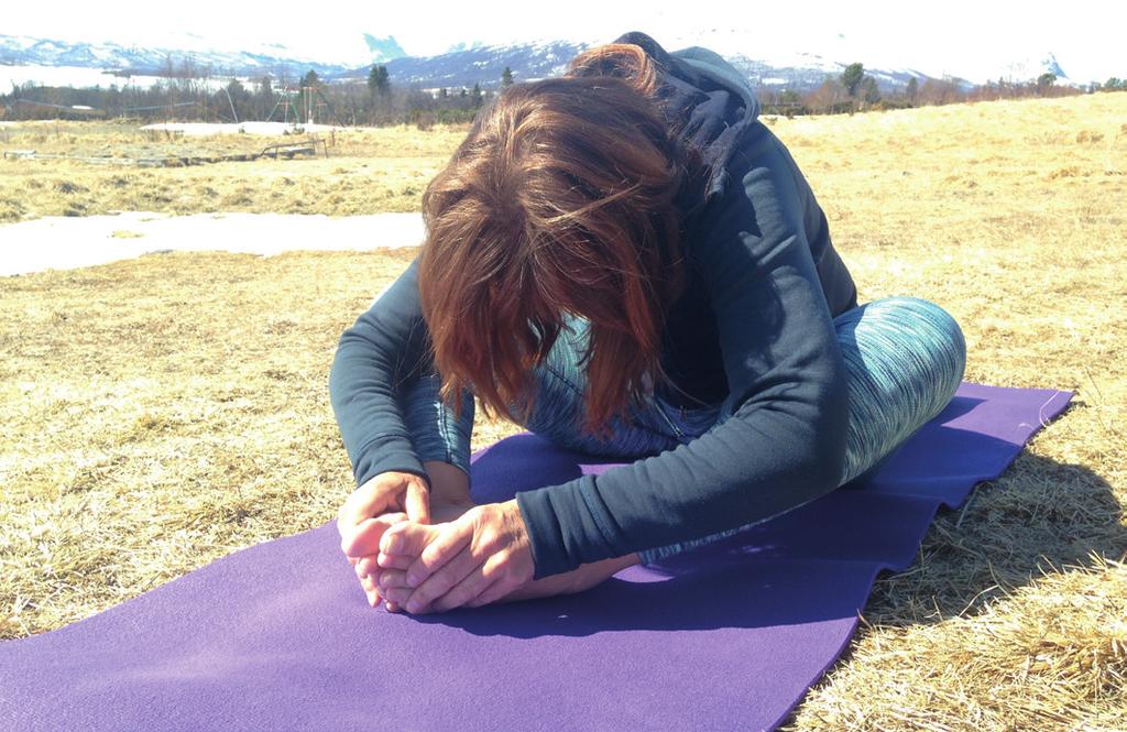 Av Sandra Grundstoff Bærbart husapotek MED SONETERAPI & YIN YOGA Yin Yoga bygger på den østlige fem-element-teorien med organ- og meridianlære som også Soneterapien benytter.