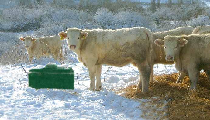 VANN ÅRET RUNDT Frostfrie løsninger De isolerte helårsdrikkekarene fungerer helt uten strøm Helårsdrikkekar Går dyrene dine ute året rundt, har vi den helt rette løsningen til å holde drikkevannet