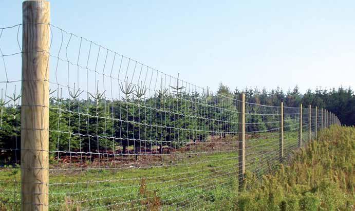 SKOGSGJERDE Beskyttelse av nyplantninger m.m. Poda er din naturlige partner når det gjelder innhegning av juletrær, nyplantinger og kulturstart i skogen.