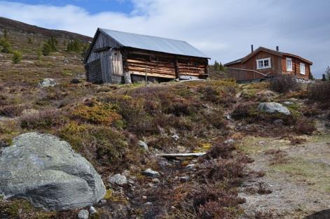 vinterfora dyr. Dei ønskjer difor å gjerde inn att den gamle kvea (på 8,3 dekar), og i tillegg søkjer dei om å gjerde inn eit areal på ca. 3,9 dekar i nordleg retning.