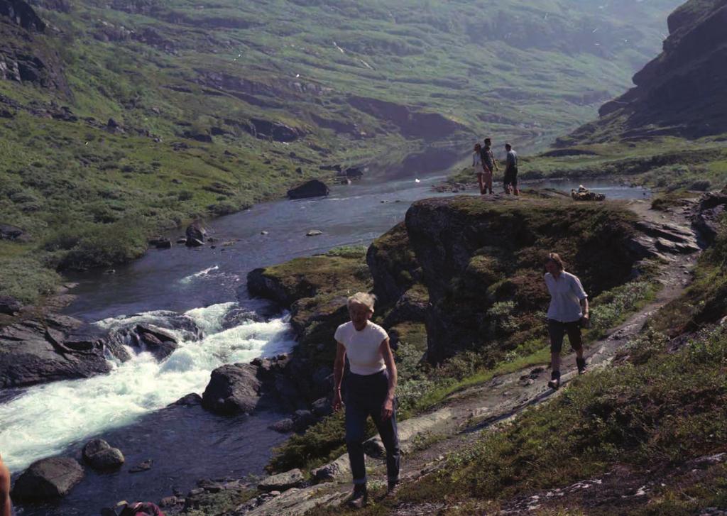 Dette har betydning for grunnvannstanden og for den rent estetiske opplevelsen av elva og dalen. Også tippene fra dambyggingen har blitt formet og tilsådd. Aurland er ikke lenger isolert.