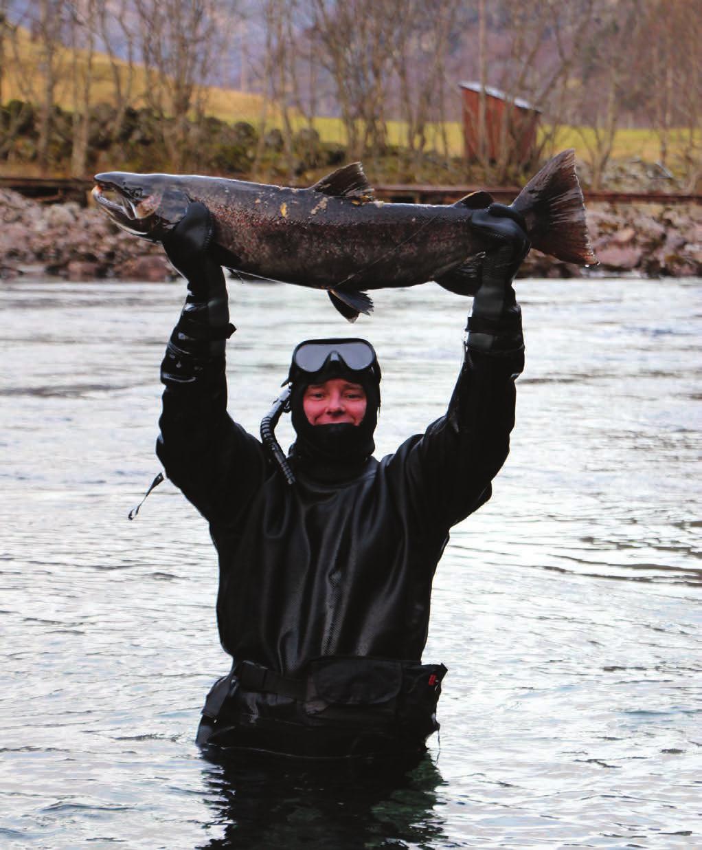 19. FORTSATT UTVIKLING Aurland 1 ble oppgradert mellom 2004 og 2007. Det forskes kontinuerlig på hvordan en kan bedre forholdene for fisken i elva.