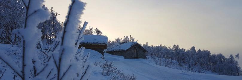 Norsk villreinsenter Nord drifter skyttelbussen til Snøheim, og for sesongen 2016 ble det solgt 18296 billetter, for 2015 var det solgt 18212 billetter.