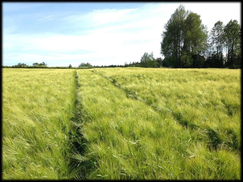 2. Produsenter, importører og distributører Virksomheter som skal importere, produsere eller selge plantevernmidler skal registreres hos Mattilsynet.