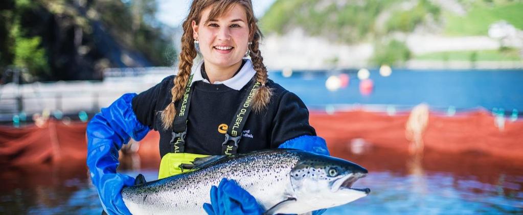 VI HAR OG UTVIKLER FORTSATT EN