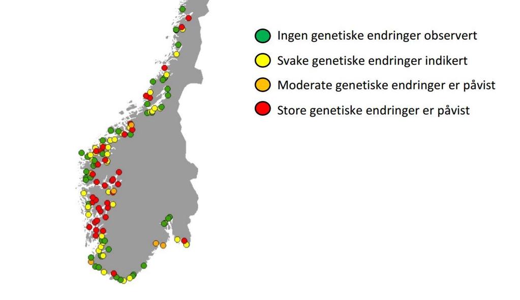 Kvina Elveeierlag Fellesforvaltning 6.mai 2017, kontakt Randulf Øysæd;roysad@online.