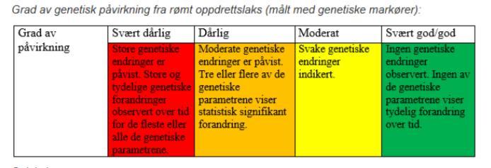 Så har rapporten over innblanding av oppdrettslaks endelig kommet, og det var ingen stor overraskelse at innblanding av oppdrettslaks i