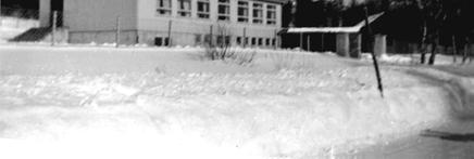 Det var et tømmerbygg som var det vanlige på den tiden. I 1933 ble skolehuset flyttet ca 100 m til Fagerbakken like ovenfor nåværende ungdomshus. Skutvik skole i dag.