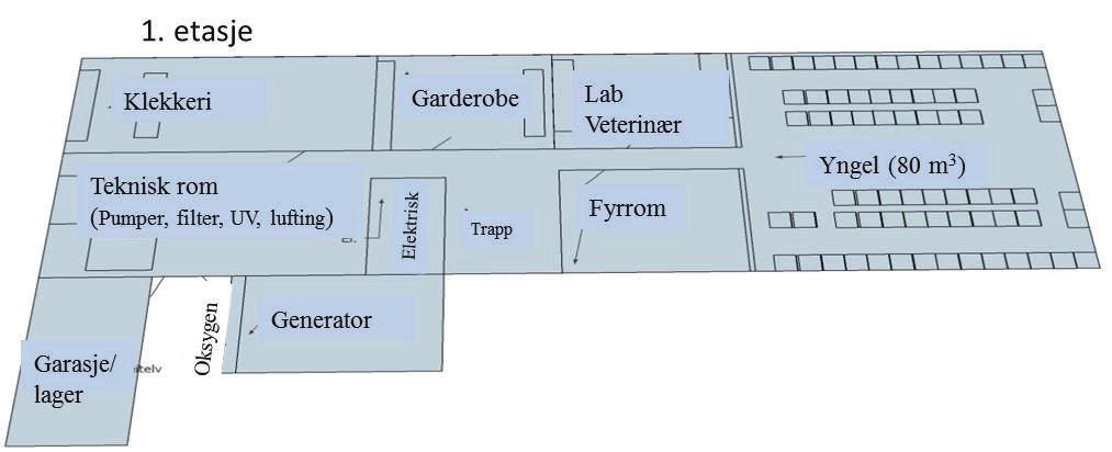 4 Figur 4: Skisse av 1. etasje i bygget. Figur 5: Skisse av 2. etasje i bygget. Vanninntak Det legges nytt sjøvannsinntak fra anlegget.