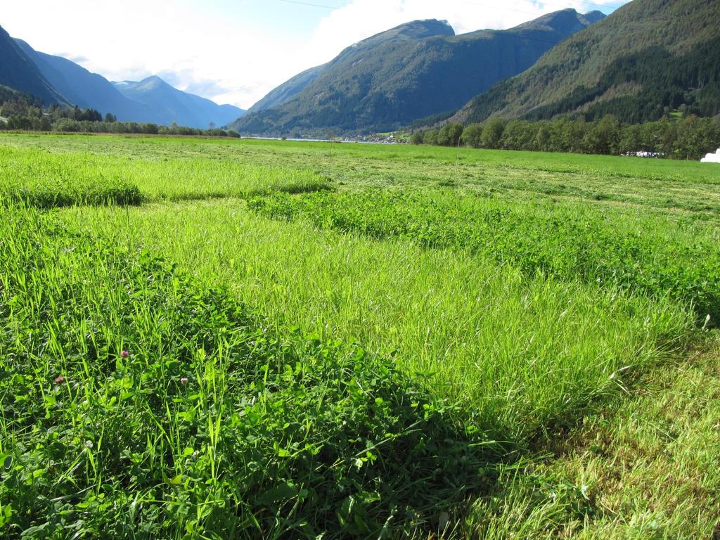 Fjærland, 2.