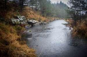 Middelvannføring ved passering under veien er 0,21 m³/s, og bekken renner ned i Skogsvatnet 24,5 moh.