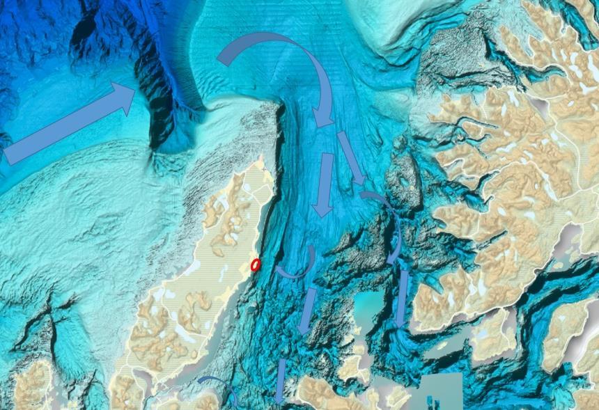 1 INTRODUKSJON Andfjord AS er et selskap som har utviklet et patenterbart og nyvinnende system for lakseoppdrett på land med bruk av kjent teknologi.