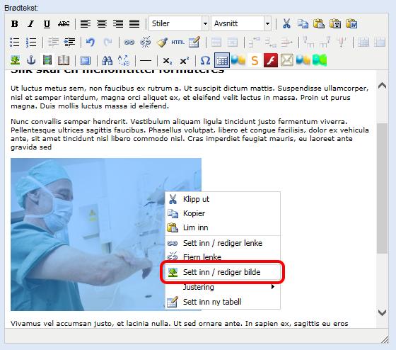 Kapittel 7: Bilder 7.3: Sett inn bilde i brødtekst 8) 9) Klikk «Lagre og lukk» (C i Figur 7-10) for å sette inn bildet. Gjør evt. justeringer på plassering.