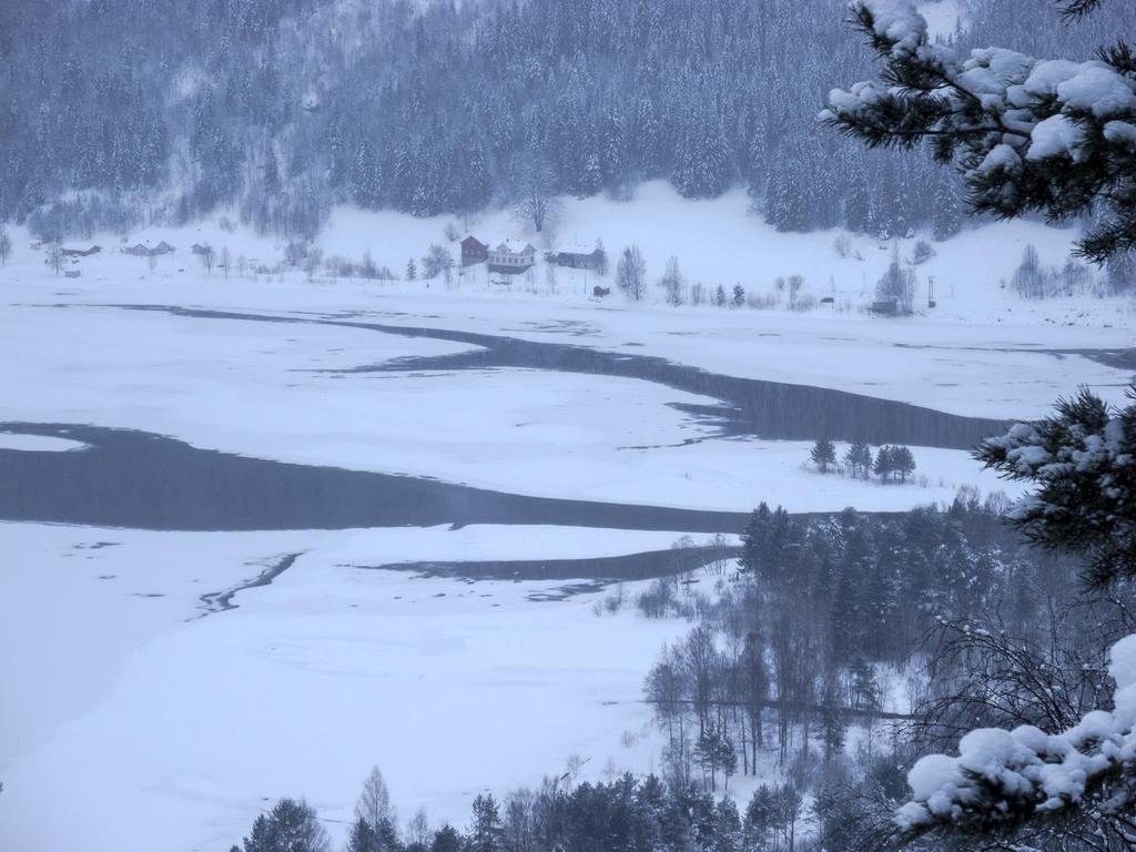 Temperaturforurensing Bunnvann fra magasin påvirker hele