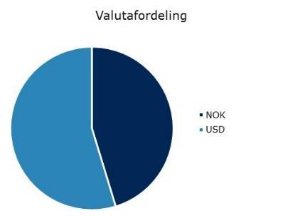 Porteføljeforvalternes kommentarer Spesialfondet Borea Global Equities Nok et turbulent og begivenhetsrikt år er bak oss.