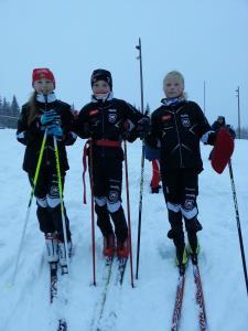 Voksengruppe: Det har vært god bredde og stor aktivitet, med faste løpe-, ski og rulleski- treninger. Gruppen har hatt egen kontaktperson.