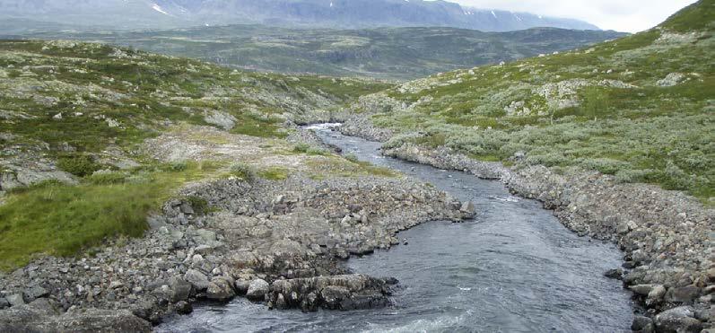 Juvåne nedstrøms dam Mjåvatn. inga. Søknaden med konsekvensutgreiing vil vere tilgjengeleg for nedlasting på www.nve.no/vannkraft i høyrings perioden. Alle kan komme med fråsegn.