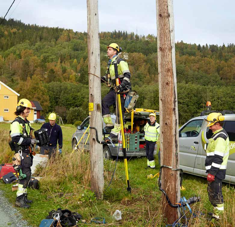 ELEKTROSKANDIA Den gir oss en enklere hverdag. Den er brukervennlig og kjapp, den har gode bilder, og det er lett å se om varene er på lager og hvor de er.