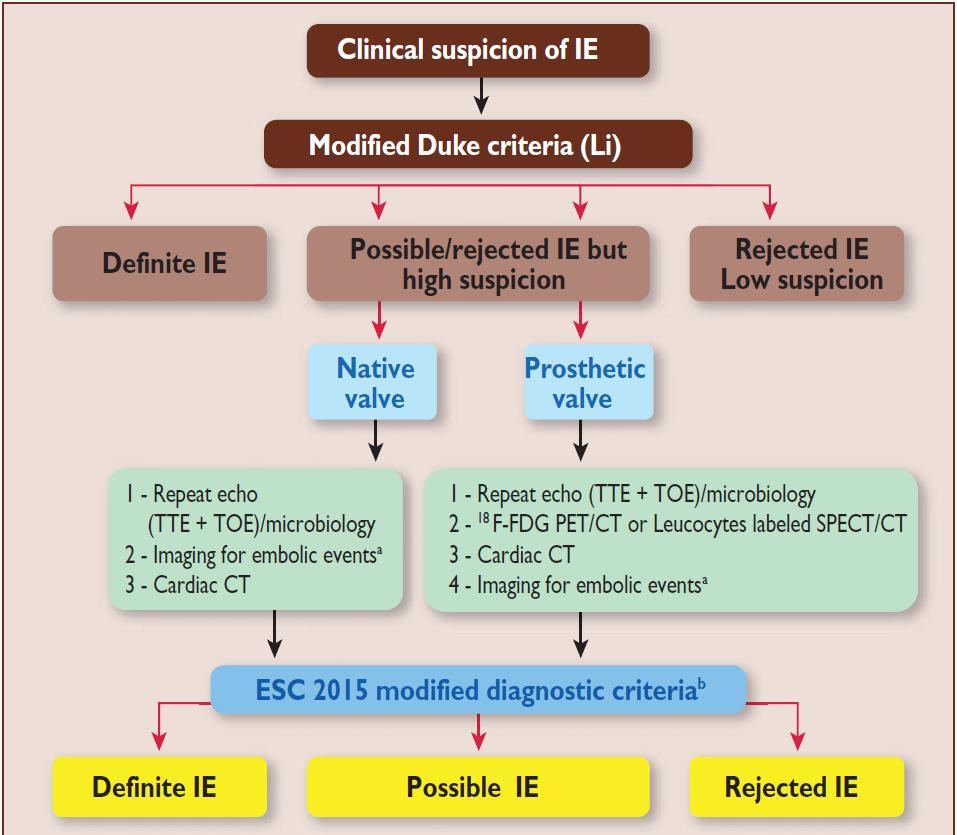 Diagnostisk algoritme ESC 2015 a, may