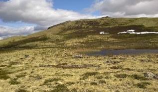 Habitatfunksjonalitet viktig å kvantifisere god kvalitet habitat viktig å identifisere barrierer Vi må identifisere habitat som er samtidig god og