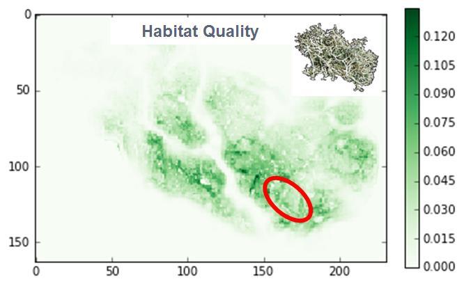 Demo: Endring av habitatfunksjonalitet under scenarier av infrastrukturutvikling Scenario 2: bygning av nytt hyttefelt (50%