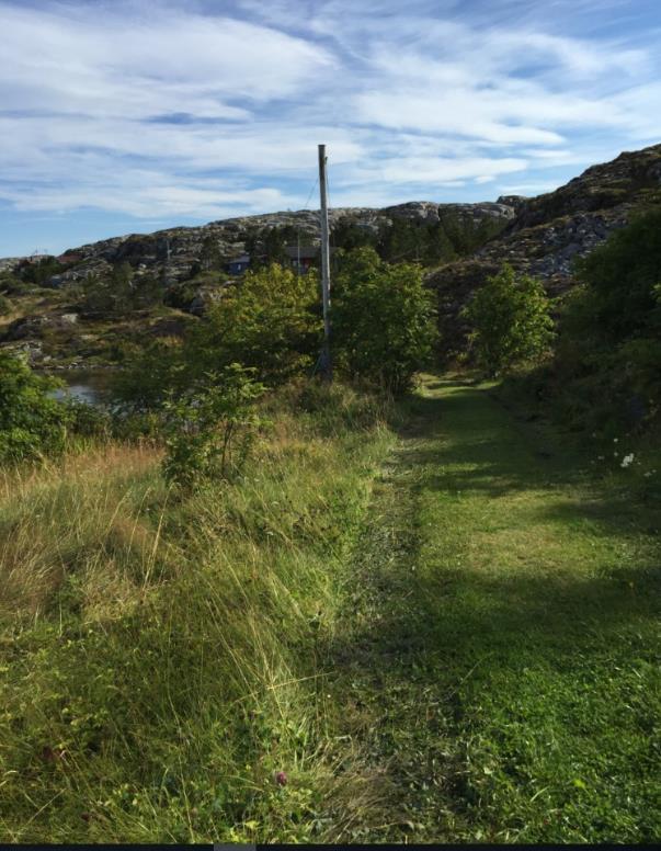 Figur 9 viser hovedsti-adkomsten Sti: Det er planlagt flere stier som går fra hovedstiadkomsten og frem til fritidsboligene. Noen stier er lengre og mer utfordrende enn andre.