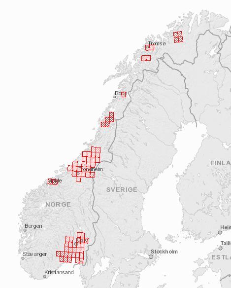 Kvikkleirekartlegging Startet opp i 1985 Kartleggingen er rettet mot områder som kan være utsatt for naturlig utløste store kvikkleireskred