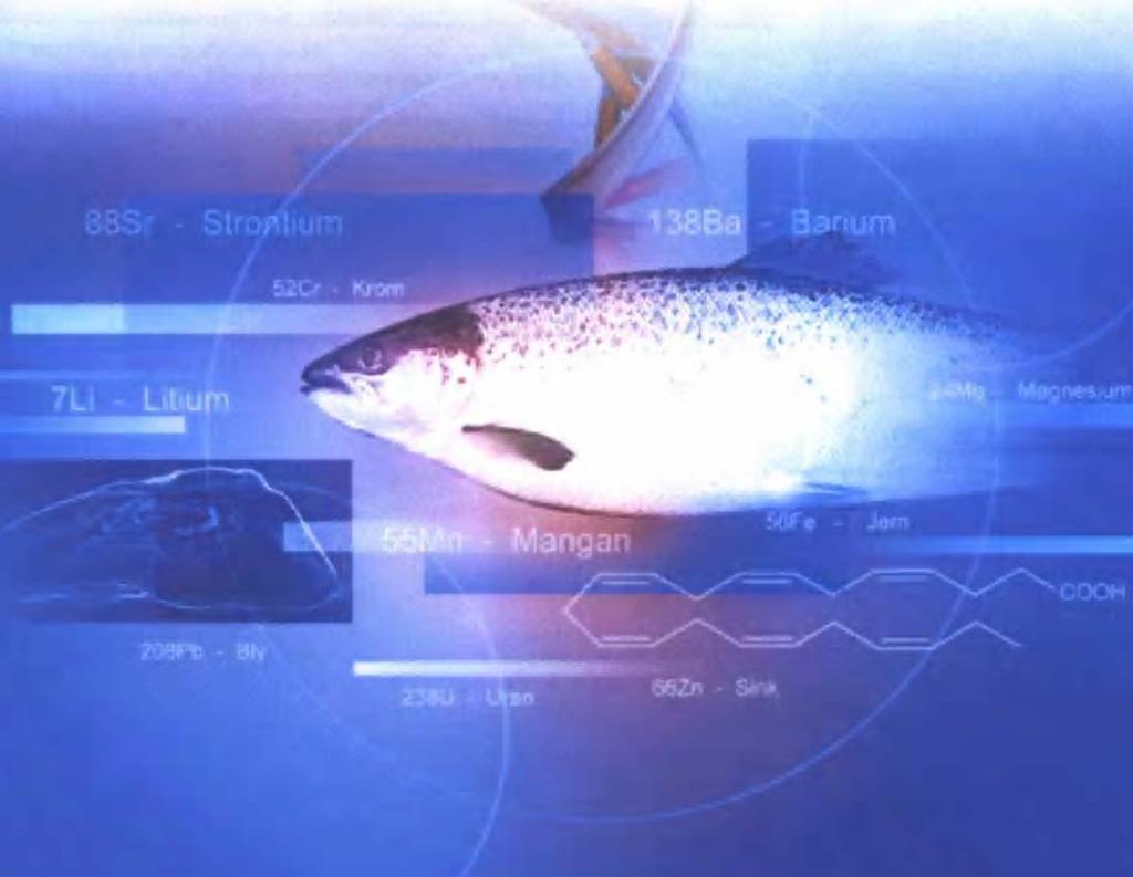 TRACES - et 3-årig NFR program, 2006-2008 Målsetning: Utvikle metodikk for identifikasjon og sporing av oppdrettslaks ved bruk av naturlige karakterer: Geokjemiske sporelementer Fettsyre-profiler