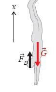 Initialbetingelse: x( t v( t ) x ) v t s 1m m/s Kontaktkefte: