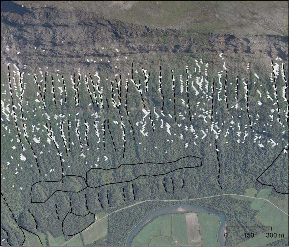 Startsoner: Junkerdalen Terskelverdier: terrenghelning: 30-45 kurvatur: -1/100 m -1 dreneringsområde: 0.