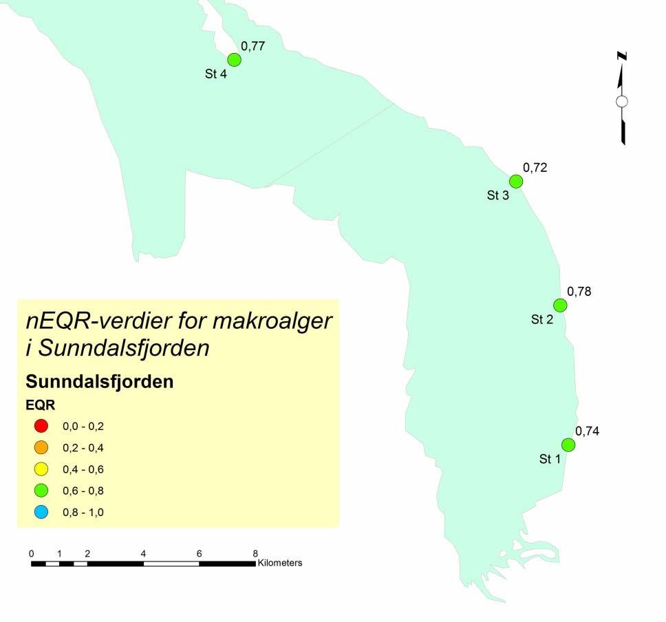 I Figur 14 vises neqr for makroalger på de 3 stasjonene inne ved Sunndalsøra som er resipient for