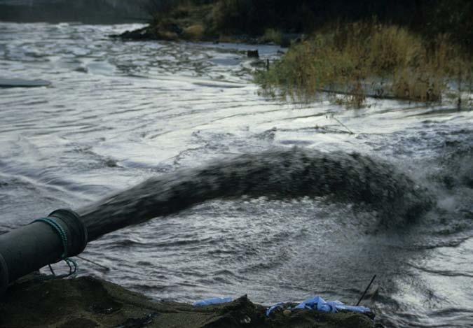 naturmangfoldet Ikke urimelig Foto: Marianne Gjørv