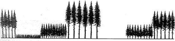 To hovedtyper av skogbruk