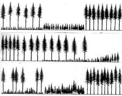 Andre hogstformer Frøtrestilling (< 15 trær pr. mål gjensatt) Skjermstilling (> 15 trær pr.