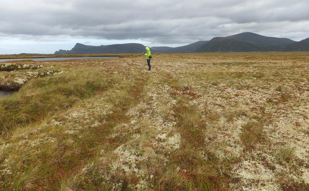 3.2. Linje-elementer Minstemål for registrering av linjeelementer er 20 meter. Minstemålet gjelder for linjeelementets totale lengde.