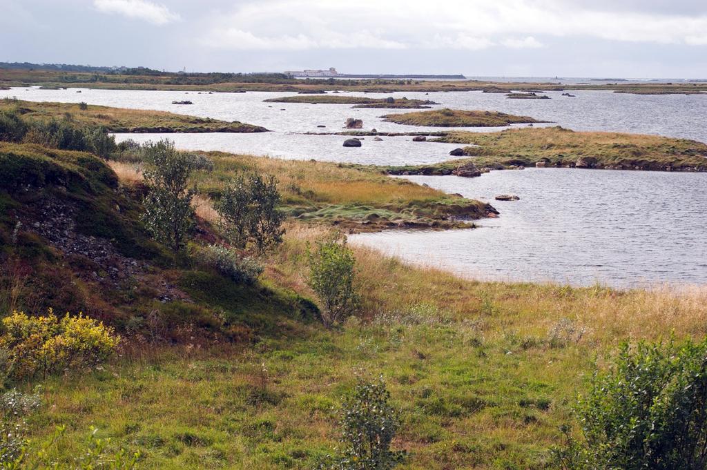 5: Impediment Punktet faller på naturlig vegetasjonsfri mark.