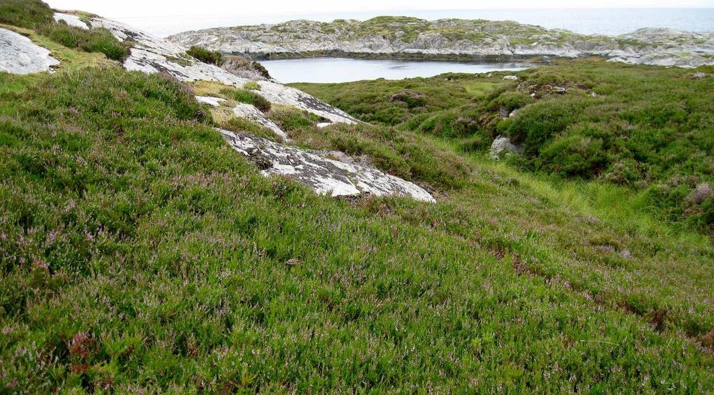 Figur 27: Eksempel på tolkingshjelp fra AR18x18-fotografi tatt samme område som vist i figur 26.