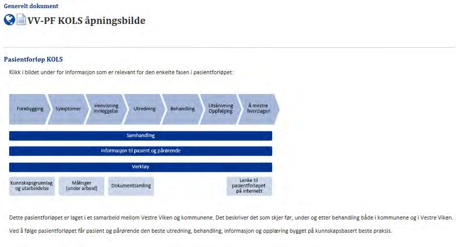 Beskrivelse av pasientforløp Internett www.