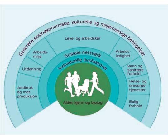 forebyggingsarbeidet kommunen driver. I Folkehelsemeldingen 20 slås det fast at ansvaret for folkehelsearbeidet går på tvers av sektorer og samfunnsområder.